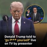 Responds to Trump With Explicit Remark on Live TV Following Show’s Cancellation