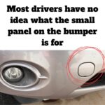 Small Panel on Bumper: Why It’s There