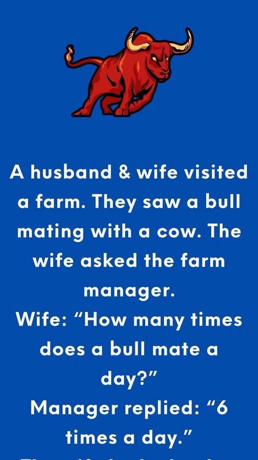 The Powerful Bull