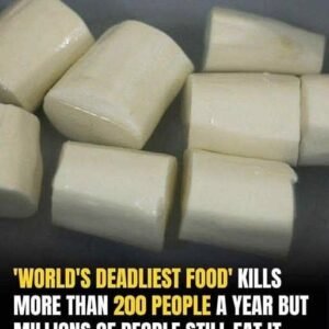 The ‘world’s deadliest food’ claims over 200 lives every year, yet nearly 500 million people still eat it