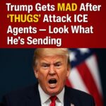 Trump Gives New Orders After ‘Thugs’ Attack ICE Agents