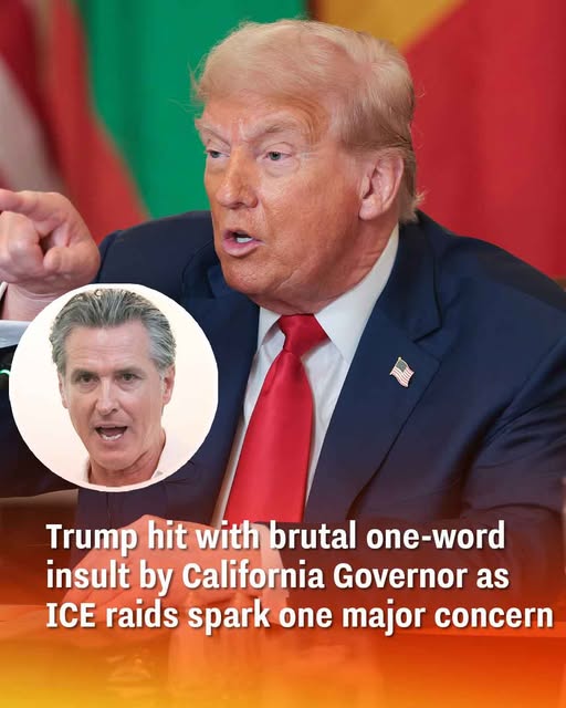 Trump hit with brutal one-word insult by California Governor as ICE raids spark one major concern