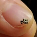 We ordered a salad, but there were tiny black specks in the food – we went straight to the hospital