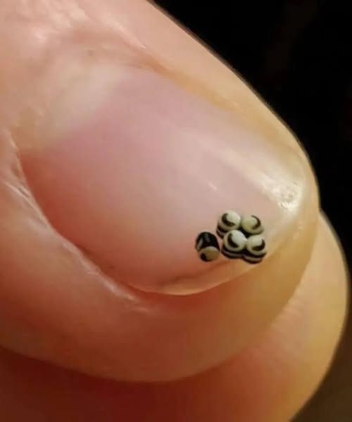 We ordered a salad, but there were tiny black specks in the food – we went straight to the hospital