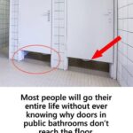 Why Doors in Public Bathrooms Don’t Reach the Floor