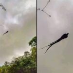 A Peculiar Photograph Has Been Circulating on Social Media in Recent Hours — But There’s No Reason to Panic