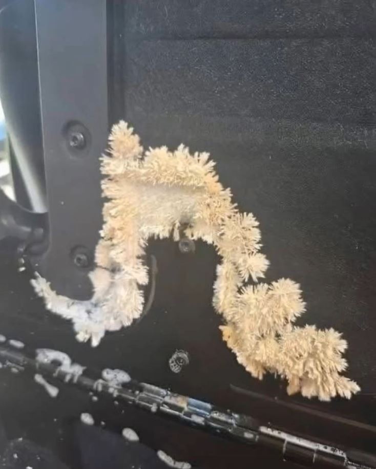 A Shocking Discovery Under My Car Seat Changed How I See Safety