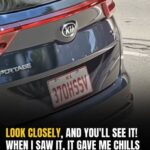 Absolutely Hilarious License Plates We’ve Seen In A While