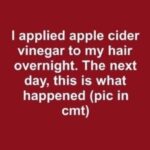 Apple Cidde Vingear..