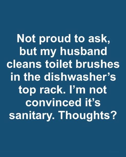 Can a toilet brush be washed in the dishwasher without risks?