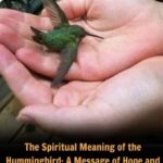 Did You Know That If a Hummingbird Comes to Your Home, It Means Something Special?