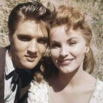 Everybody loved Elvis Presley in this movie – but few noticed the weird detail about his hair