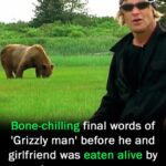 Final words of ‘Grizzly man’ before he was eaten alive