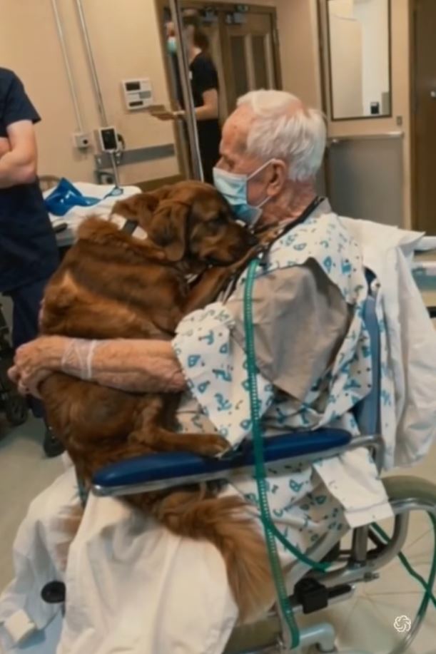 “He Kept Asking for Murphy”—A Patient’s Last Wish Unraveled a Decades-Old Mystery