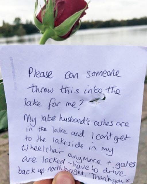 I was devastated by what I discovered in a note on a rose