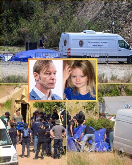 The Hidden Story Behind a Missing Girl Found in the Forest