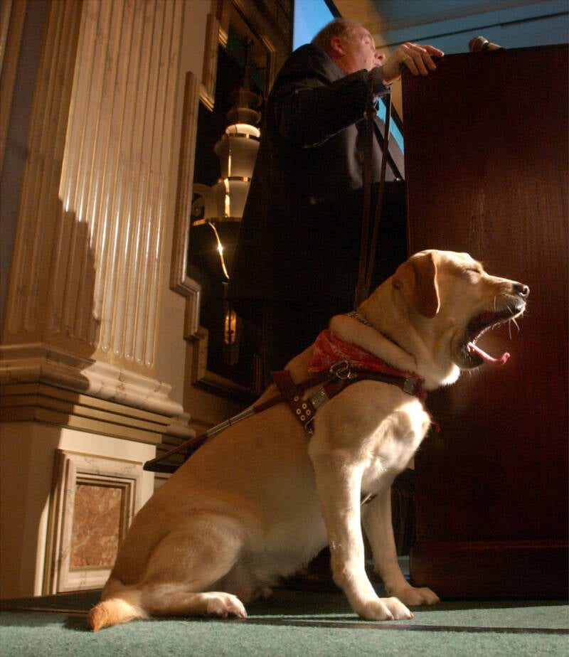Inside The Harrowing Escape Of 9/11 Survivor Michael Hingson And His Beloved Guide Dog