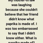 MY MOTHER-IN-LAW’S LAUGHTER UNCOVERED A SECRET I NEVER SAW COMING