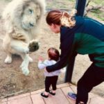 MY SISTER TOOK HER DAUGHTER TO THE ZOO—BUT THE LION ONLY REACTED TO HER