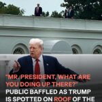 President Donald Trump, 79, Seen on the White House Roof — Videos Spark Online Buzz