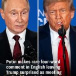 Putin makes rare four-word comment in English