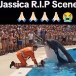 SAD NEW: The terr!fying final moments of the Golden Coach….Read full story