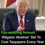 Taxpayers stuck with $450M bill for Trump’s ‘Alligator Alcatraz’