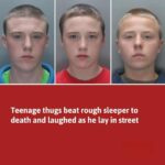 Teen Brothers Jailed After Vicious Assault