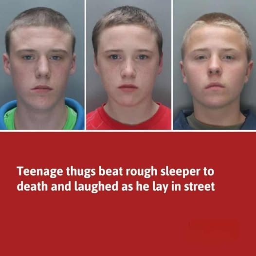 Teen Brothers Jailed After Vicious Assault