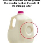 The Hidden Purpose Behind That Little Dent on Your Milk Jug — And Why It Matters More Than You Think