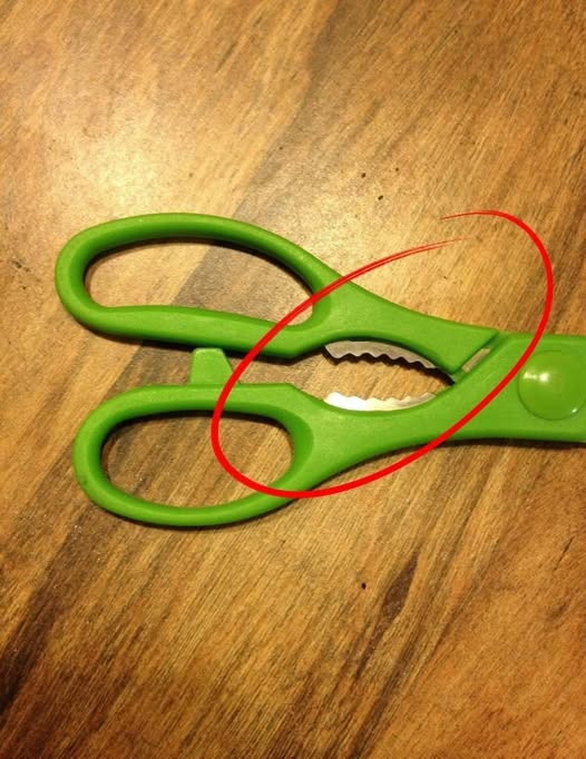 The Hidden Purpose of the Notched Section on Your Kitchen Scissors You Never Knew About