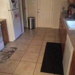 The Kitchen Puzzle: Where Is the Hidden Dog?