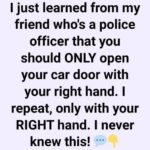 The One Habit That Could Save a Life: Why the “Dutch Reach” Should Be Second Nature for Every Driver