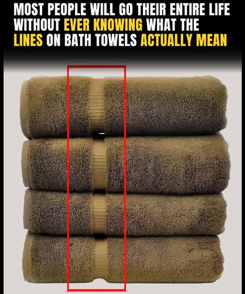 The Real Reason Bath Towels Have Lines—It’s Not Just for Style