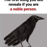 This Simple Optical Illusion May Reveal Whether You’re a Truly Noble PersonThis Simple Optical Illusion May Reveal Whether You’re a Truly Noble Person