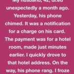 True Stories That Could Hit Internet’s Front Page