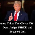 Trump Clearing Immigration Courts as ‘Judicial Swamp’ Facing The Music