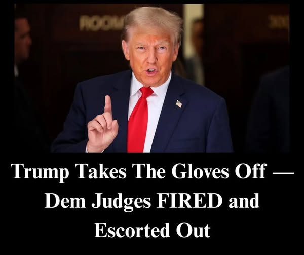 Trump Clearing Immigration Courts as ‘Judicial Swamp’ Facing The Music