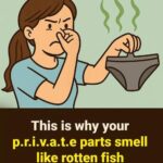 Unusual Odor: What a “Fishy Smell” Really Means and When to See a Doctor