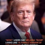 Users React to Melania Trump’s New Official Portrait – Photo