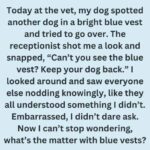 What It Means When a Dog Wears a Blue Vest, Leash, or Bandana
