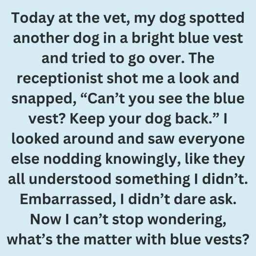 What It Means When a Dog Wears a Blue Vest, Leash, or Bandana