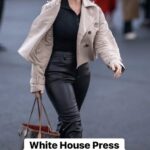 White House Press Secretary Karoline Leavitt