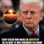 Who Could Be Drafted!