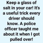 Why A Simple Cup of Salt Could Save Your Car And Your Health