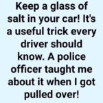 Why Drivers Are Putting Salt in a Glass Inside Their Cars—The Reason May Surprise You
