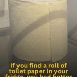 Why People Are Putting Toilet Paper in the Fridge — And Why You Might Want to Try It Too