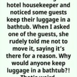 Why You Should Always Put Your Luggage in the Hotel Room’s Bathtub