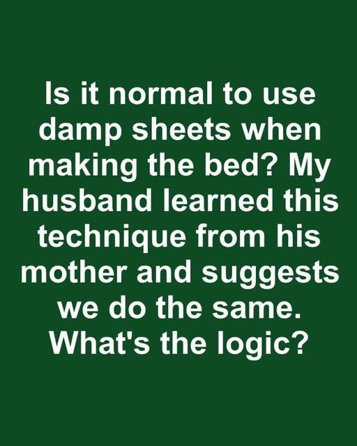 Wrinkle-Free Bedding Hack: Why Damp Sheets Make the Perfect Bed