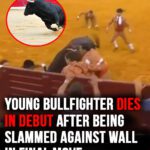 Young bullfighter dies in debut after being slammed against wall in front of crowd